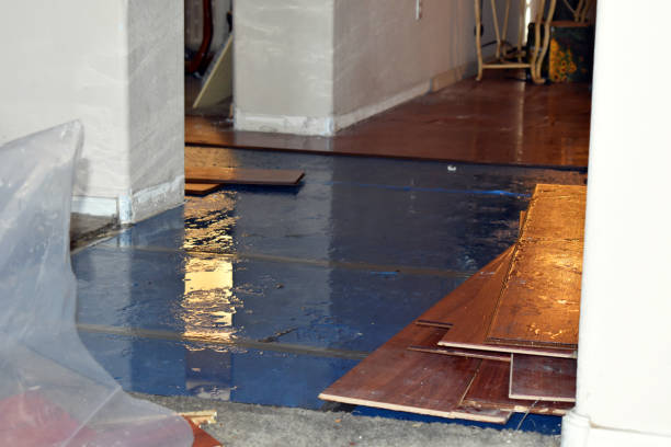 Professional Flood Damage Restoration technician working in Burnham, IL